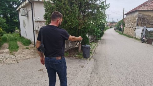 PREŽIVELI SU PRAVU AGONIJU: Poznato stanje žene i deteta koje su sinoć izujedali psi PREŽIVELI SU PRAVU AGONIJU: Poznato stanje žene i deteta koje su sinoć izujedali psi