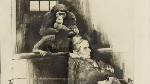 MIĆINA MAJSTORSKA RUKA: Izložba crteža u galeriji Haos povodom veka od rođenja Miodraga Popovića (1923- 1996) MIĆINA MAJSTORSKA RUKA: Izložba crteža u galeriji Haos povodom veka od rođenja Miodraga Popovića (1923- 1996)