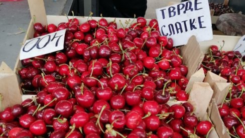 TREŠNJE I JAGODE NAJTRAŽENIJE, A CENA IM IDE I DO 500 DINARA: Bajlonijeva pijaca juče je bila prava adresa za kupovinu namernica