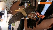 PREPARIRANE PTICE - DRONOVI: Neobičan eksperiment naučnika u Novom Meksiku (VIDEO) PREPARIRANE PTICE - DRONOVI: Neobičan eksperiment naučnika u Novom Meksiku (VIDEO)