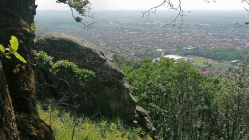 POŽAR OTKRIO HALABURIN LIK: U stenama na Vršačkim planinama otkrivena dugo čuvana tajna (FOTO) POŽAR OTKRIO HALABURIN LIK: U stenama na Vršačkim planinama otkrivena dugo čuvana tajna (FOTO)