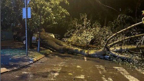 OD UDARA GROMA PUCALA STAKLA NA VOZILIMA, NA BANOVOM BRDU POTOP: Ovako je Beograd noćas izgledao (VIDEO) OD UDARA GROMA PUCALA STAKLA NA VOZILIMA, NA BANOVOM BRDU POTOP: Ovako je Beograd noćas izgledao (VIDEO)