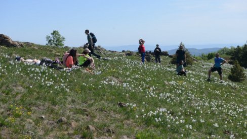 U FOKUSU AKTIVAN ODMOR: Kraljevački kraj i znamenitosti sve atraktivniji i stranim turistima