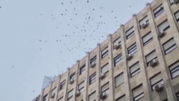ПАРЕ У СРБИЈИ ИПАК ПАДАЈУ СА НЕБА: Људи у центру Београда остали шокирани (ВИДЕО) ПАРЕ У СРБИЈИ ИПАК ПАДАЈУ СА НЕБА: Људи у центру Београда остали шокирани (ВИДЕО)