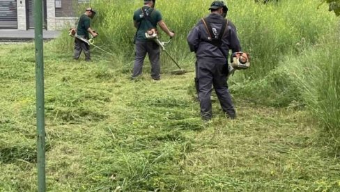 UREĐENJE ZELENIH POVRŠINA: Eko patroal Zemuna nastavlja sa akcijama UREĐENJE ZELENIH POVRŠINA: Eko patroal Zemuna nastavlja sa akcijama