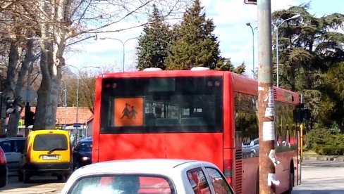 OPŠTINA ŽABARI: Traže prevoznika za 240 đaka OPŠTINA ŽABARI: Traže prevoznika za 240 đaka