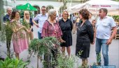 NAGRADU ZA NAJLEPŠE DVORIŠTE: Pobednica zbog unuka nagradu poklonila vrtiću NAGRADU ZA NAJLEPŠE DVORIŠTE: Pobednica zbog unuka nagradu poklonila vrtiću