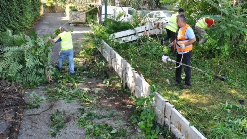 ZA LEPŠE OKRUŽENJE: Eko-patrola Savski venac sprovodi akciju čišćenja