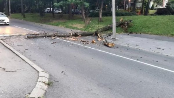 ПРИЈАВА СЕРВИСУ 11011: Шта када се дрво обруши на аутомобил без обзира на временске услове ПРИЈАВА СЕРВИСУ 11011: Шта када се дрво обруши на аутомобил без обзира на временске услове