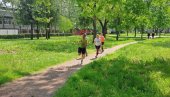 20 МИЛИОНА ЗА ТРИМ СТАЗУ: Уређење Карађорђевог парка у Зрењанину