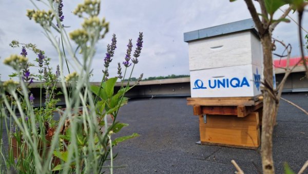 UNIQA осигурање и Bee center представили пројекат очувања пчела UNIQA осигурање и Bee center представили пројекат очувања пчела
