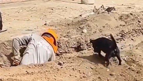 RADNIK KOPA PESAK, A PAS MU PRAVI DRUŠTVO: Pomoćnik kakvog bi svi poželeli (VIDEO) RADNIK KOPA PESAK, A PAS MU PRAVI DRUŠTVO: Pomoćnik kakvog bi svi poželeli (VIDEO)