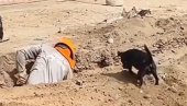 RADNIK KOPA PESAK, A PAS MU PRAVI DRUŠTVO: Pomoćnik kakvog bi svi poželeli (VIDEO) RADNIK KOPA PESAK, A PAS MU PRAVI DRUŠTVO: Pomoćnik kakvog bi svi poželeli (VIDEO)