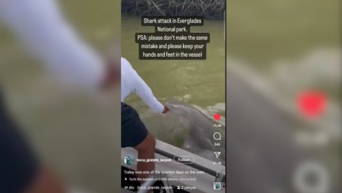 UZNEMIRUJUĆ SNIMAK SA FLORIDE: Ajkula zgrabila čoveka iz čamca i povukla ga u vodu (VIDEO) UZNEMIRUJUĆ SNIMAK SA FLORIDE: Ajkula zgrabila čoveka iz čamca i povukla ga u vodu (VIDEO)