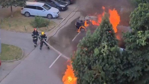 ВАТРА ГУТА АУТОМОБИЛ У НОВОМ САДУ: Снимак пожара на паркингу, црн дим куља на све стране (ВИДЕО) ВАТРА ГУТА АУТОМОБИЛ У НОВОМ САДУ: Снимак пожара на паркингу, црн дим куља на све стране (ВИДЕО)