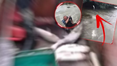 RIBE SAME USKAČU U ČAMAC: Neobičan snimak iz Zemuna! Šta je to na Dunavu? (VIDEO) RIBE SAME USKAČU U ČAMAC: Neobičan snimak iz Zemuna! Šta je to na Dunavu? (VIDEO)