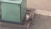 НЕСТВАРАН СНИМАК ИЗ ФРАНЦУСКЕ: Усред хаоса на улицама - човек мирно седи и једе пециво (ВИДЕО)
