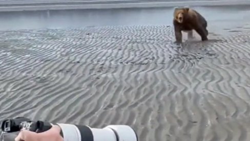 DRAMA: Medved se zaleteo na fotografa - o njegovoj reakciji se priča (VIDEO) DRAMA: Medved se zaleteo na fotografa - o njegovoj reakciji se priča (VIDEO)