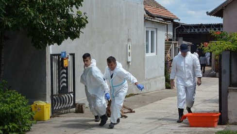 NADOKNADA ŠTETE ZBOG AFRIČKE KUGE: U Opovu počela isplata za uginule i eutanazirane svinje