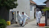 ЗАРАЗА ХАРА ПО ЈУЖНОМ БАНАТУ:  Због афричке куге почела еутаназија и заражених и здравих свиња