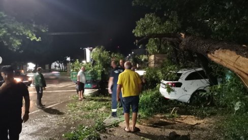 NEVREME U KRUŠEVCU OSTAVILO HAOS ZA SOBOM: Vetar čupao drveće iz korena, vatrogasci oslobađaju vozila (FOTO/VIDEO)