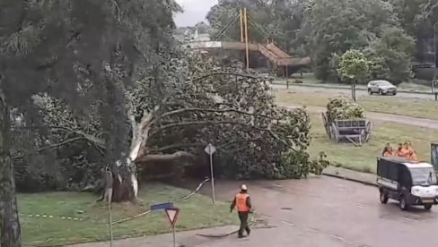 CRVENI KOD AKTIVIRAN NA TERITORIJI CELE HOLANDIJE: Oluja napravila haos, vetar nosio sve pred sobom, ima i mrtvih (VIDEO) CRVENI KOD AKTIVIRAN NA TERITORIJI CELE HOLANDIJE: Oluja napravila haos, vetar nosio sve pred sobom, ima i mrtvih (VIDEO)