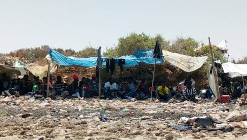 VIŠE OD POLA DECA I ADOLESCENTI: Otkriven kamp sa skoro 500 migranata VIŠE OD POLA DECA I ADOLESCENTI: Otkriven kamp sa skoro 500 migranata