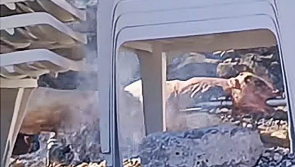 НАПРАВИШЕ ВАШАР У МАЛОЈ МОШТАНИЦИ Снимак из Будве направио буру на мрежама - туристи пекли јагње насред плаже (ВИДЕО)