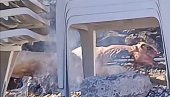 НАПРАВИШЕ ВАШАР У МАЛОЈ МОШТАНИЦИ Снимак из Будве направио буру на мрежама - туристи пекли јагње насред плаже (ВИДЕО)