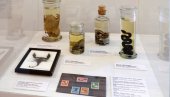 ТАНКА ЛИНИЈА ИЗМЕЂУ ЛЕКА И ОТРОВА: Необична изложба у Градском музеју Вршац до 18. августа (ФОТО)