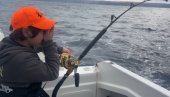 DEČAK UPECAO GRDOSIJU: Tri puta veća od njega, ali nije hteo da je pusti (FOTO/VIDEO) DEČAK UPECAO GRDOSIJU: Tri puta veća od njega, ali nije hteo da je pusti (FOTO/VIDEO)