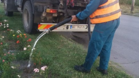 NA ULAZU U GRAD 1.600 RUŽA: U Vranju redovno održavaju cveće i travnate površine NA ULAZU U GRAD 1.600 RUŽA: U Vranju redovno održavaju cveće i travnate površine