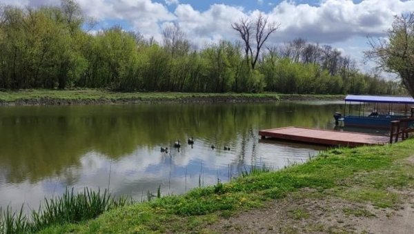 МОЧВАРНА ПОДРУЧЈА: Богатство и угроженост МОЧВАРНА ПОДРУЧЈА: Богатство и угроженост