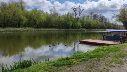 MOČVARNA PODRUČJA: Bogatstvo i ugroženost MOČVARNA PODRUČJA: Bogatstvo i ugroženost