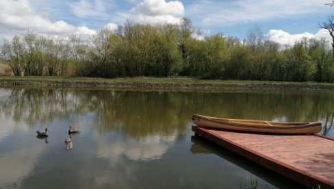 CARSKA BARA VIŠE NEĆE GORETI: Četiri miliona dinara za zaštitu od požara jednog od najlepših rezervata prirode u Vojvodini (FOTO/VIDEO) CARSKA BARA VIŠE NEĆE GORETI: Četiri miliona dinara za zaštitu od požara jednog od najlepših rezervata prirode u Vojvodini (FOTO/VIDEO)