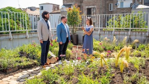 ЗЕЛЕНИ КРОВ И У ДАНИЈЕЛОВОЈ: Смањење ефекта стаклене баште