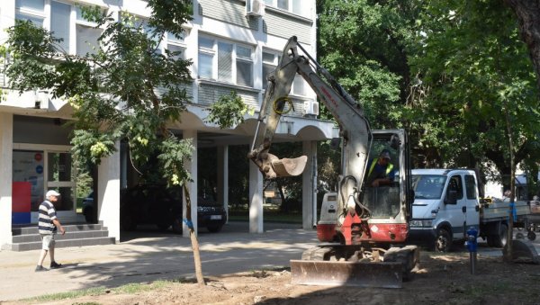 МРЕЖУ СПРЕМАЈУ ЗА ФАБРИКУ ВОДЕ: У Кикинди у току замена старог водовода новим цевима (ФОТО) МРЕЖУ СПРЕМАЈУ ЗА ФАБРИКУ ВОДЕ: У Кикинди у току замена старог водовода новим цевима (ФОТО)
