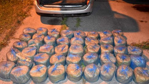 KRIVIČNA PRIJAVA ZBOG DUVANA: Vranjanac švercovao više od 130 kilograma duvana KRIVIČNA PRIJAVA ZBOG DUVANA: Vranjanac švercovao više od 130 kilograma duvana
