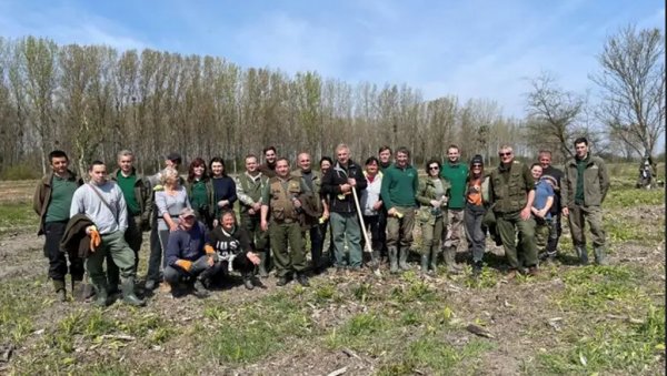 ПОКРАЈИНИ НЕДОСТАЈЕ 100 МИЛИОНА САДНИЦА: Војводина је деценијама најслабије пошумљени део Србије и Европе ПОКРАЈИНИ НЕДОСТАЈЕ 100 МИЛИОНА САДНИЦА: Војводина је деценијама најслабије пошумљени део Србије и Европе