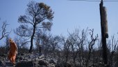 VATRA PROGUTALA KUĆE, ŠUMA U POTPUNOSTI NESTALA: Dramatična situacija u Grčkoj (FOTO) VATRA PROGUTALA KUĆE, ŠUMA U POTPUNOSTI NESTALA: Dramatična situacija u Grčkoj (FOTO)