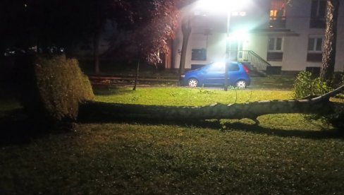 VETAR OBARAO STABLA I DALEKOVODE: Snažno nevreme ide ka Srbiji, u Sloveniji napravilo haos VETAR OBARAO STABLA I DALEKOVODE: Snažno nevreme ide ka Srbiji, u Sloveniji napravilo haos