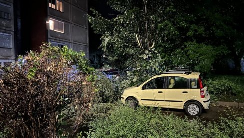 U OLUJI U NIŠU LAKŠE POVREĐENO 12 LJUDI: Informacije iz Hitne o njihovom stanju U OLUJI U NIŠU LAKŠE POVREĐENO 12 LJUDI: Informacije iz Hitne o njihovom stanju