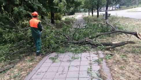 ПАЛО ДРВО НА ДЕВОЈЧИЦУ: У Новом Саду у невремену повређене две особе