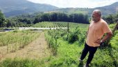 НОВОСТИ СА БЕРАЧИМА МАЛИНА КОД АРИЉА: Рекорд уписао Хуан из Вијетнама - у дану убрао 124,5 килограма