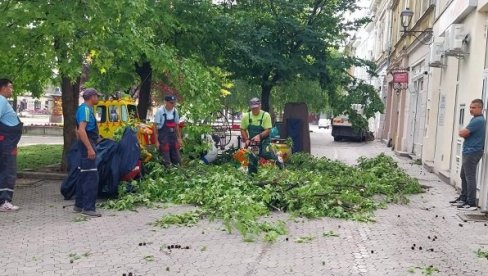 PUKLA SLEZINA NAKON PADA ZBOG OLUJE: Nevreme u Vršcu - Povređeni građanin na VMA, za sat oboreno više stabala PUKLA SLEZINA NAKON PADA ZBOG OLUJE: Nevreme u Vršcu - Povređeni građanin na VMA, za sat oboreno više stabala