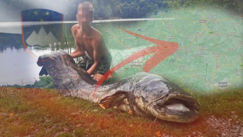 NEVEROVATAN ULOV: Dečak (13) upecao zver veću od njega - teška je 90 kila (FOTO) NEVEROVATAN ULOV: Dečak (13) upecao zver veću od njega - teška je 90 kila (FOTO)