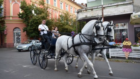 NEDELJNE VOŽNJE FIJAKERIMA: U Kikindi ponovo besplatan ugođaj za turiste i goste (FOTO)