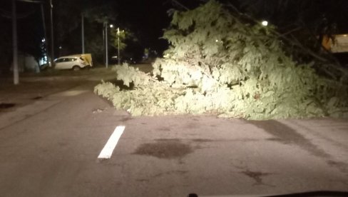 VETAR RUŠIO STABLA, NESTAJALO STRUJE: Nevreme zahvatilo i Kikindu (FOTO) VETAR RUŠIO STABLA, NESTAJALO STRUJE: Nevreme zahvatilo i Kikindu (FOTO)