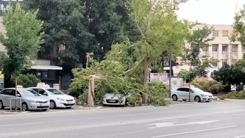 SRUŠENI OBJEKTI, POLOMLJENA RASVETA, IŠČUPANO DRVEĆE: Posledice stravičnog nevremena u Novom Sadu vide se na sve strane (FOTO/VIDEO)