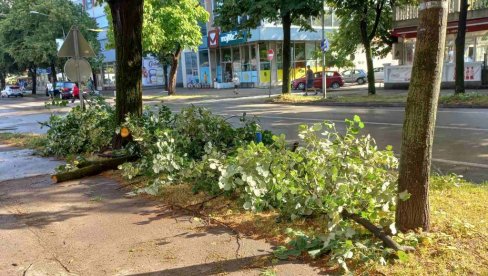 DAN NAKON NEVREMENA U BANJALUCI: Srušeno drveće i bilbordi na mnogim lokacijama (FOTO)